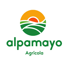 Logo 1